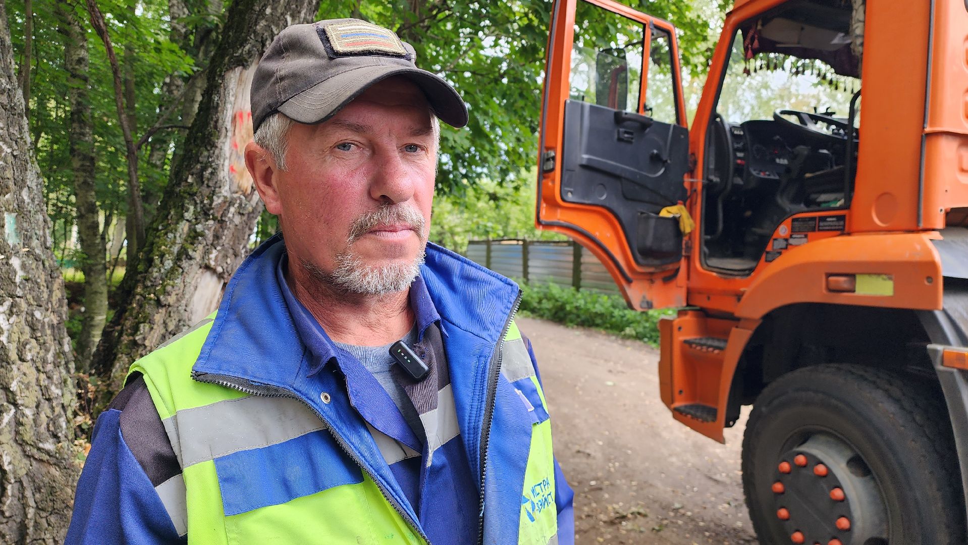 истра, аварийные деревья, благоустройство, добродел,