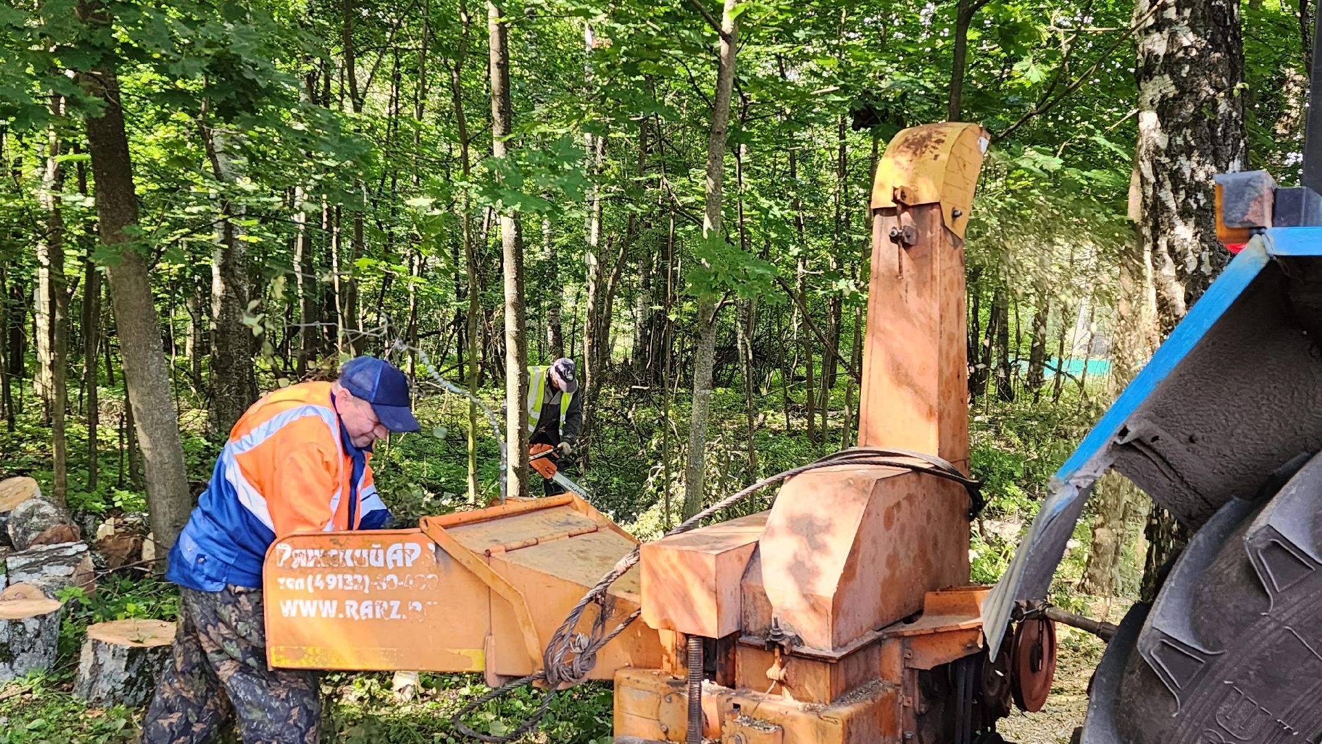 истра, аварийные деревья, благоустройство, добродел,