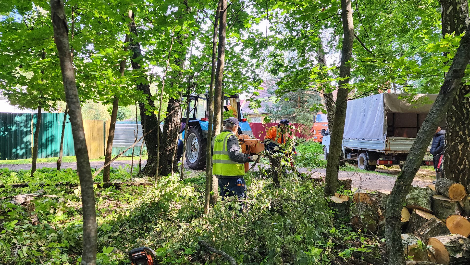 истра, аварийные деревья, благоустройство, добродел,