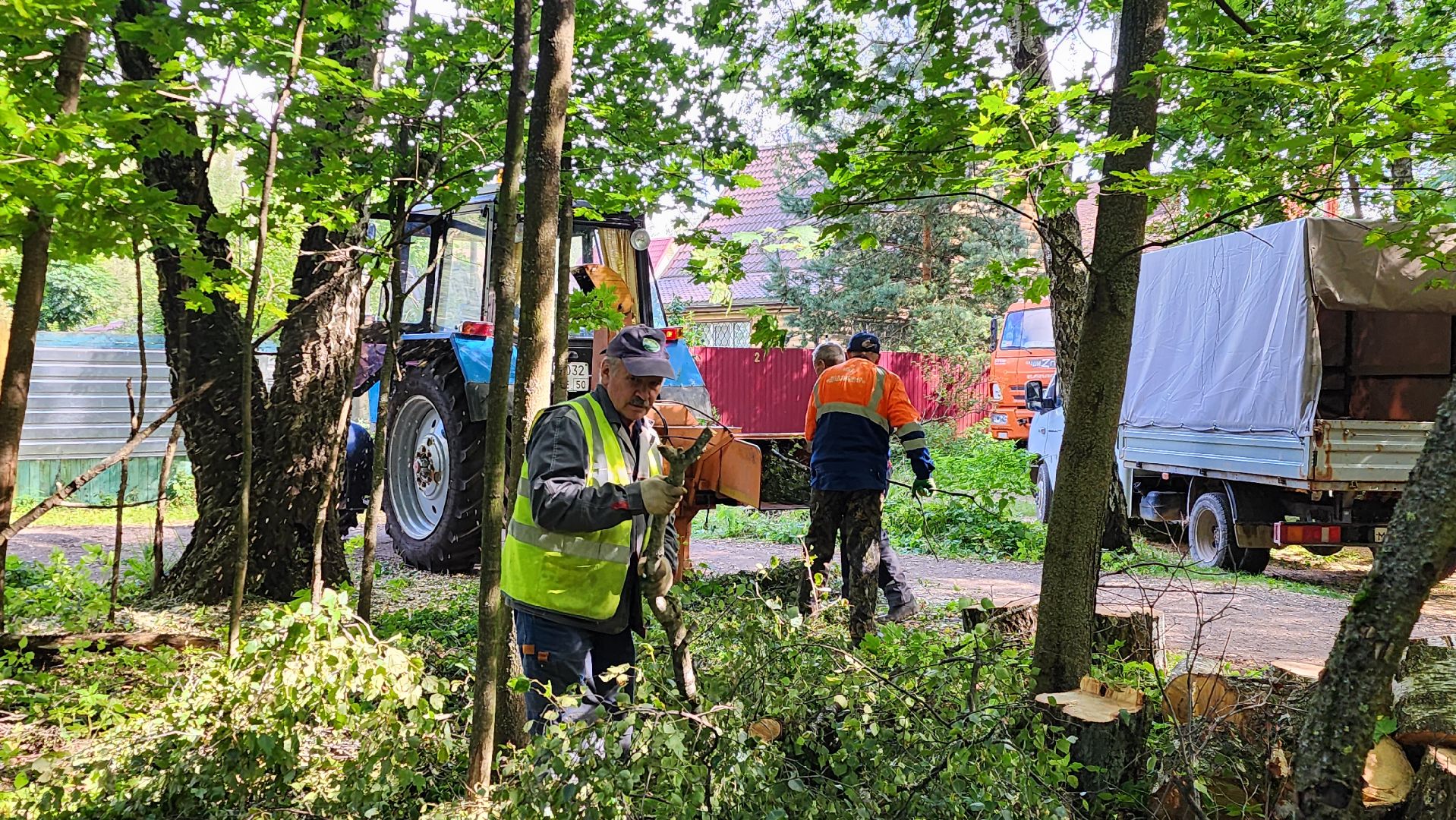 истра, аварийные деревья, благоустройство, добродел,