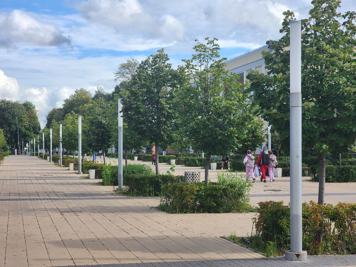 королёв, спорт, ночной забег в королеве , подмосковные вечера в королеве,