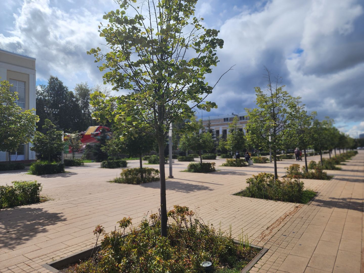 королёв, спорт, ночной забег в королеве , подмосковные вечера в королеве,