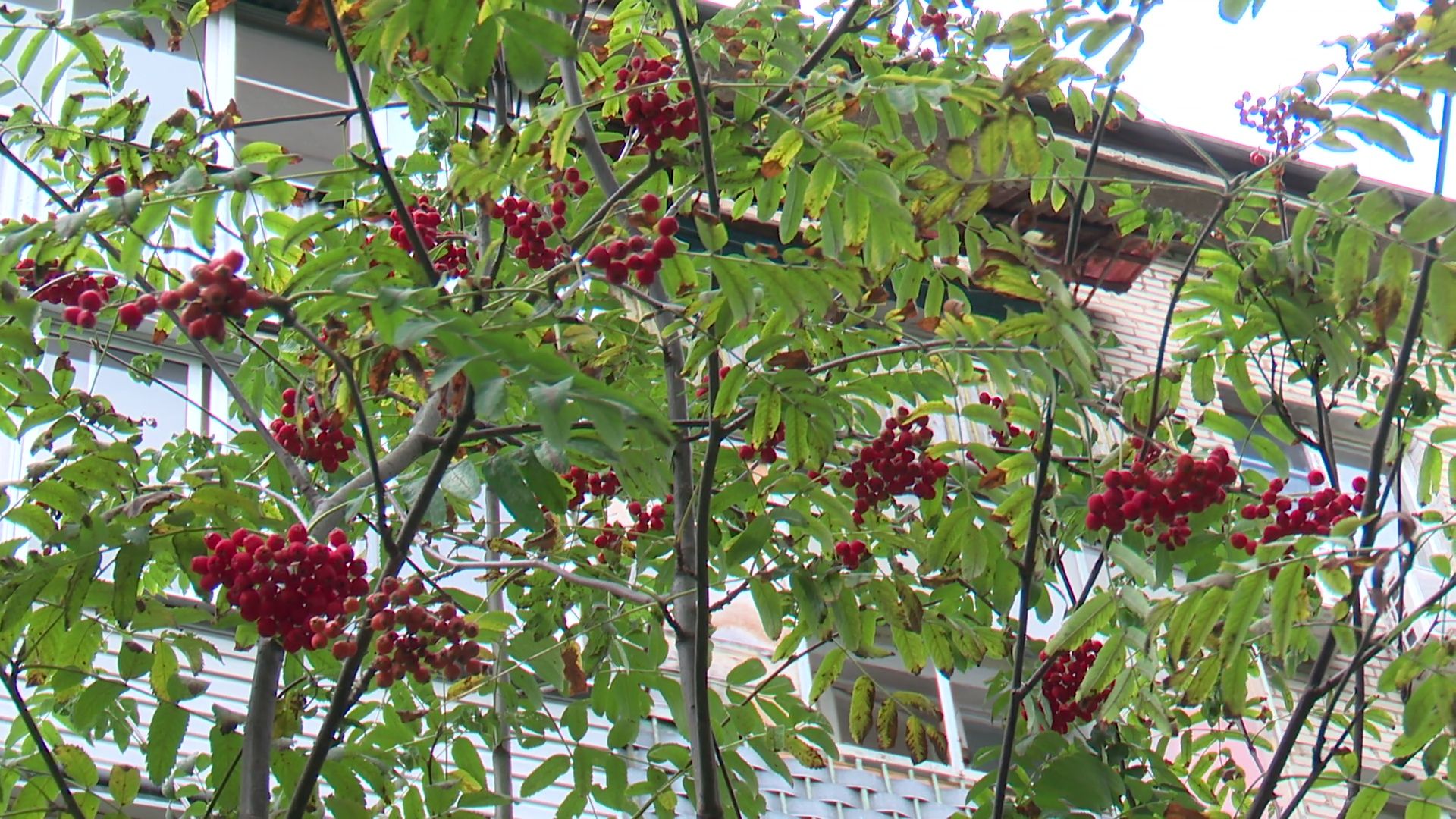 реутов, благоустройство, комплексное благоустройство, дворовая территория, парковка, новый асфальт,