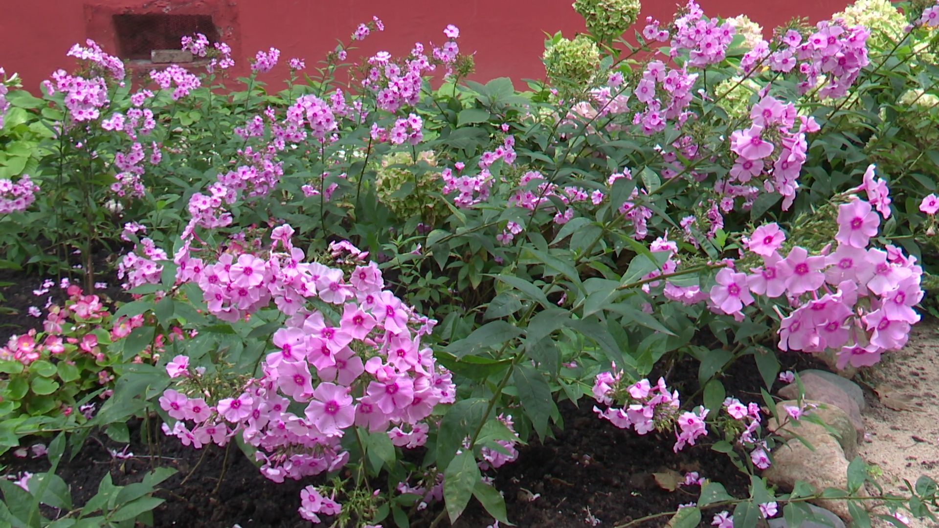 реутов, благоустройство, комплексное благоустройство, дворовая территория, парковка, новый асфальт,