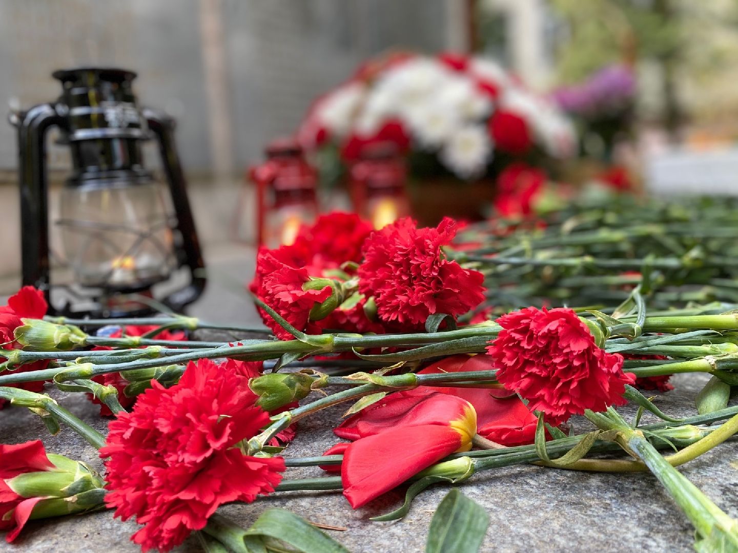 Домодедово, День Победы, 9 Мая, памятник, возложение цветов