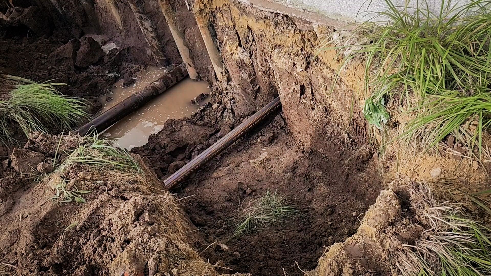 бронницы, строительство лукодрома в бронницах, лукодром бронницы,