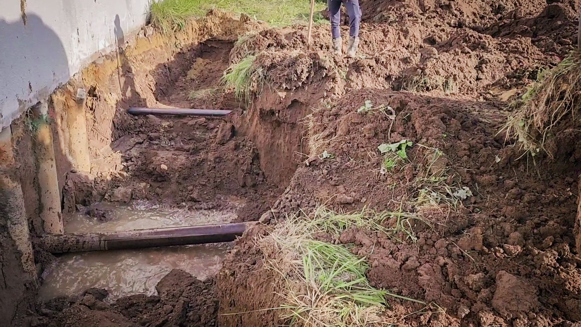 бронницы, строительство лукодрома в бронницах, лукодром бронницы,