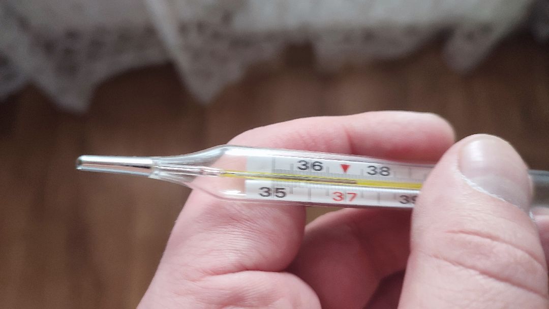 Кашира, общество