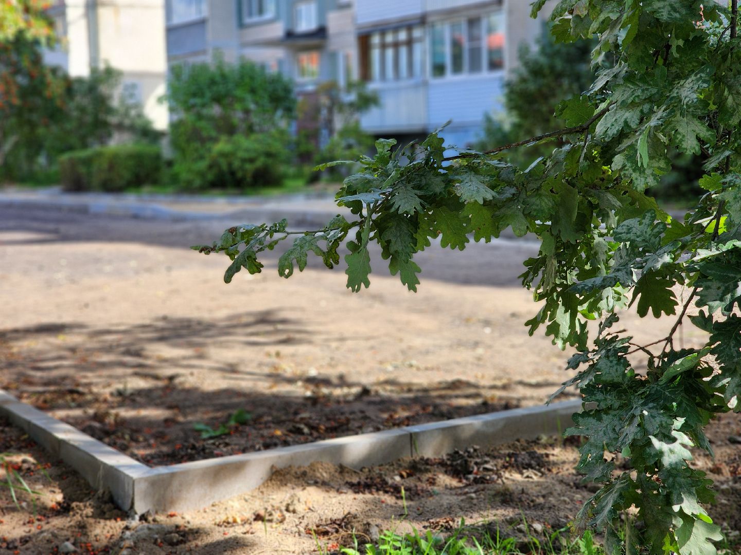 благоустройство, дворовая территория, благоустройство дворовой территории, комфортная городская среда, богородский городской округ,