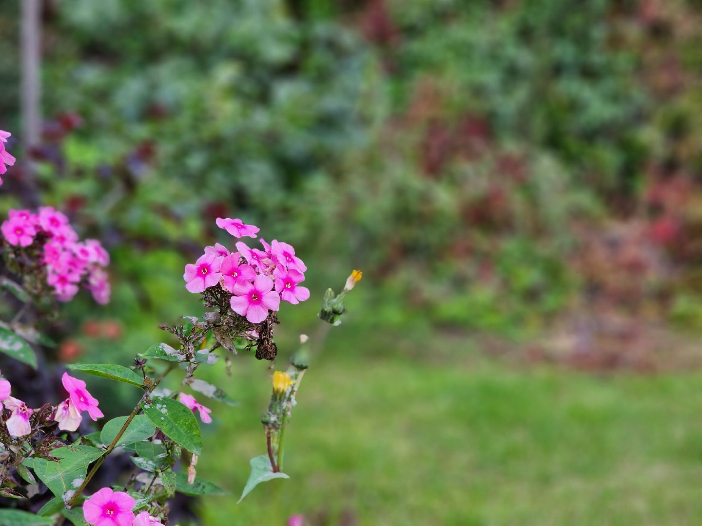 благоустройство, дворовая территория, благоустройство дворовой территории, комфортная городская среда, богородский городской округ,