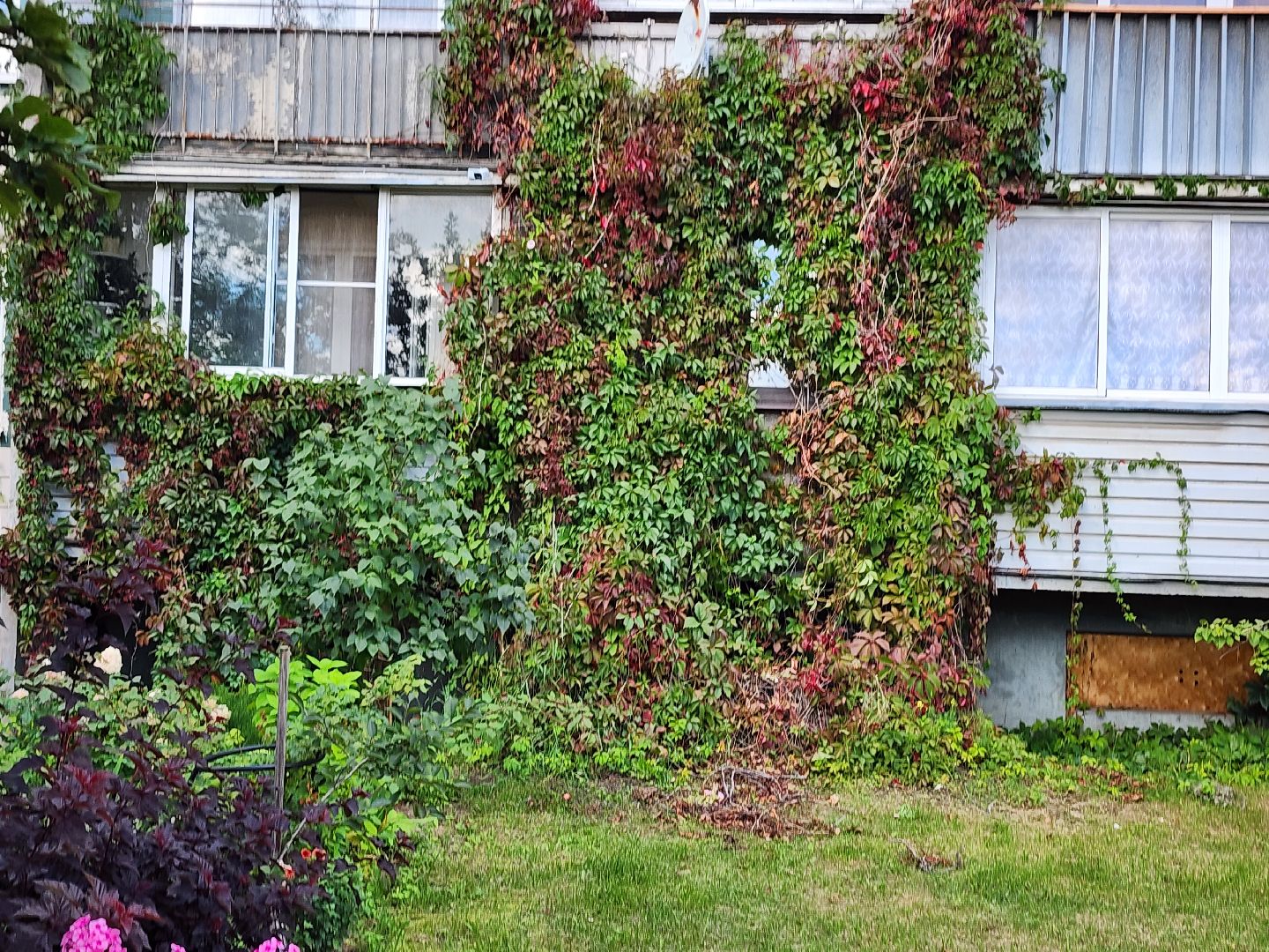 благоустройство, дворовая территория, благоустройство дворовой территории, комфортная городская среда, богородский городской округ,