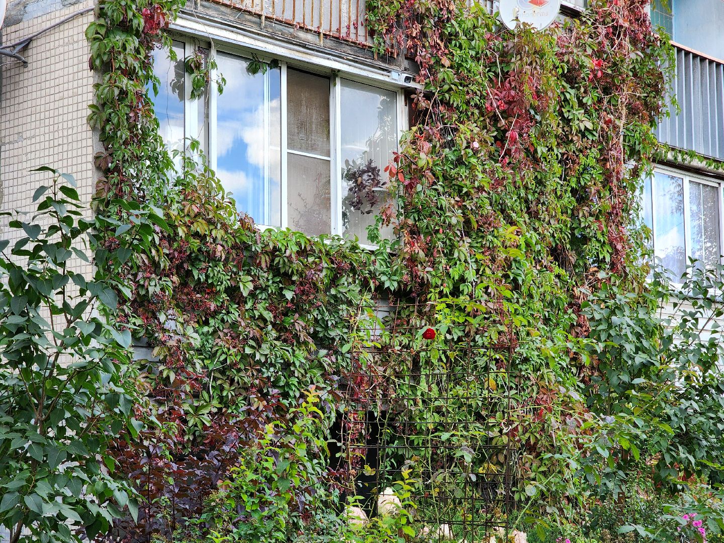 благоустройство, дворовая территория, благоустройство дворовой территории, комфортная городская среда, богородский городской округ,