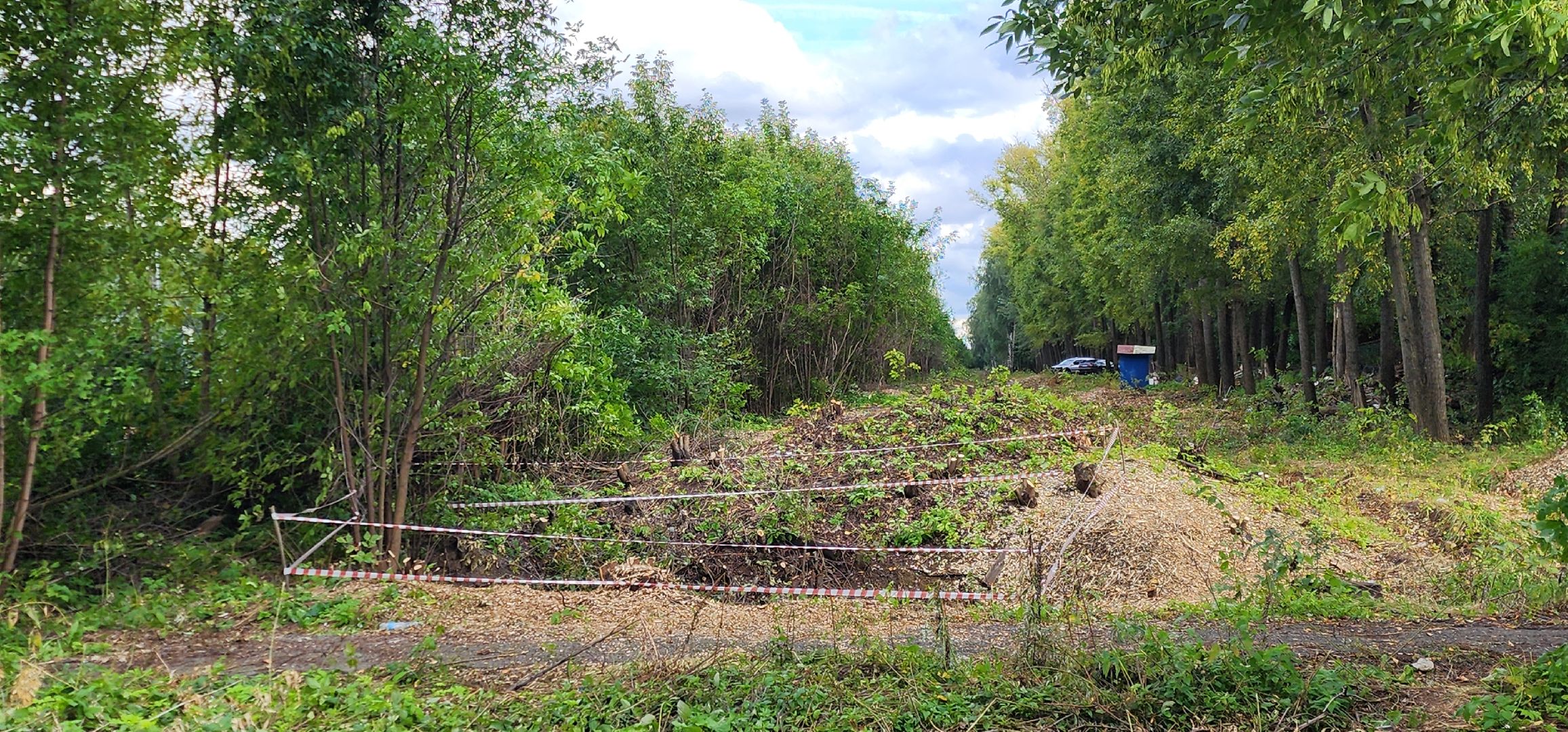 Химки, железная дорога, МЦД,