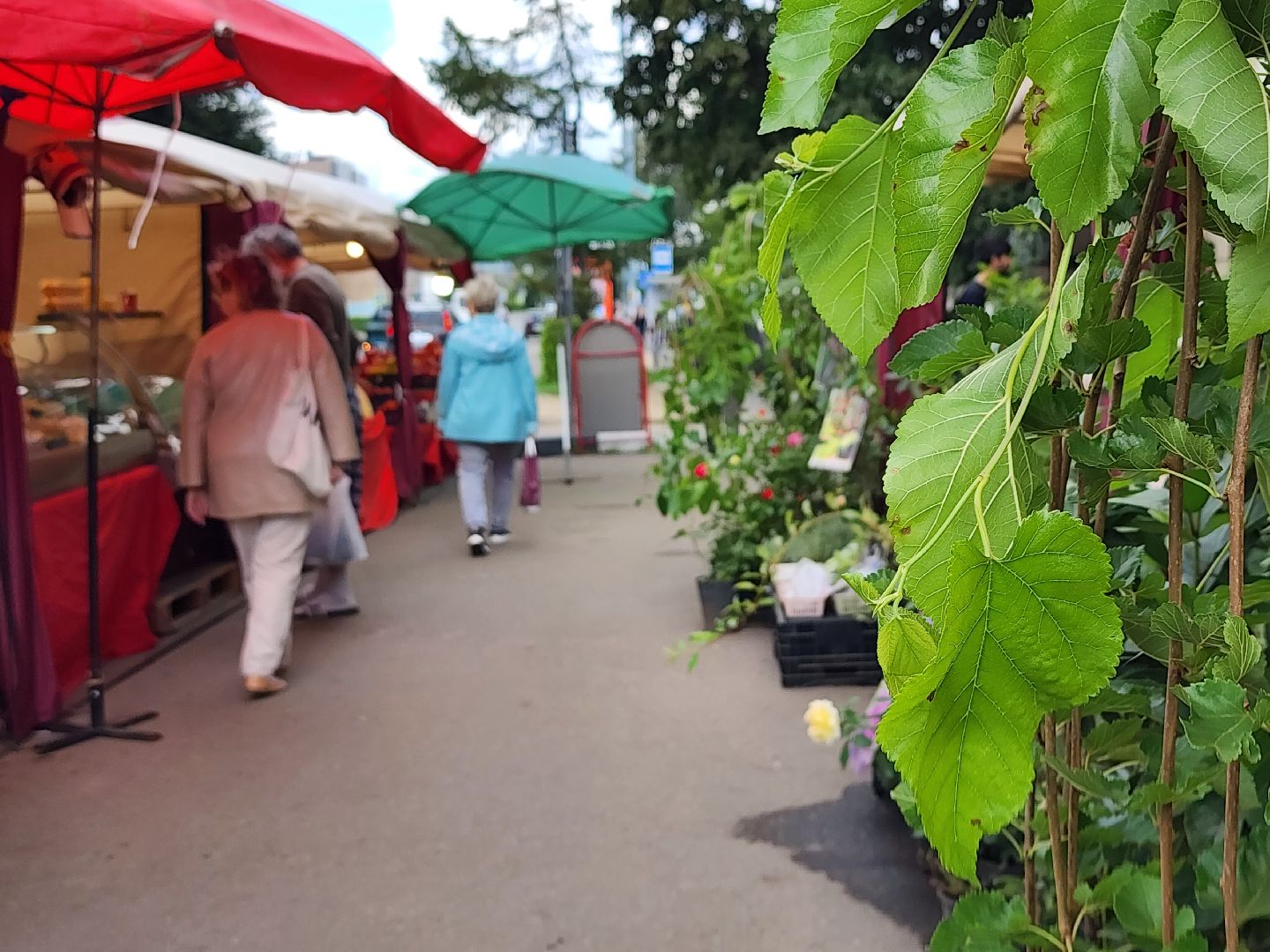 экономика, торговля, ярмарка, старая купавна, богородский городской округ,
