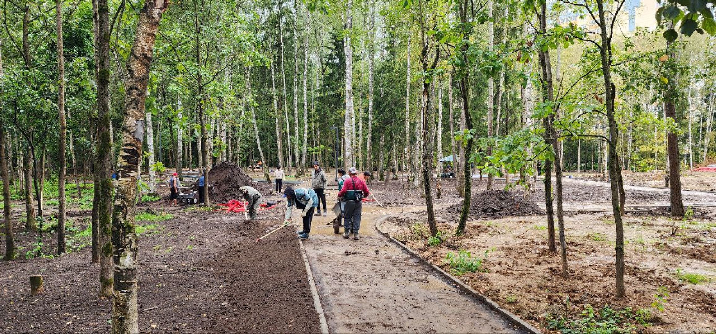 Дмитров, Некрасовский сквер, Безопасный регион,  Минблаго,
