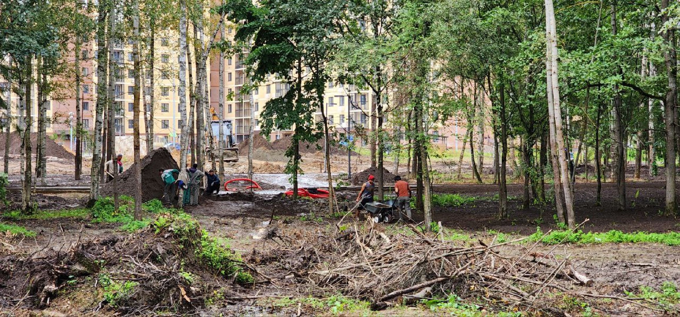 Дмитров, Некрасовский сквер, Безопасный регион,  Минблаго,