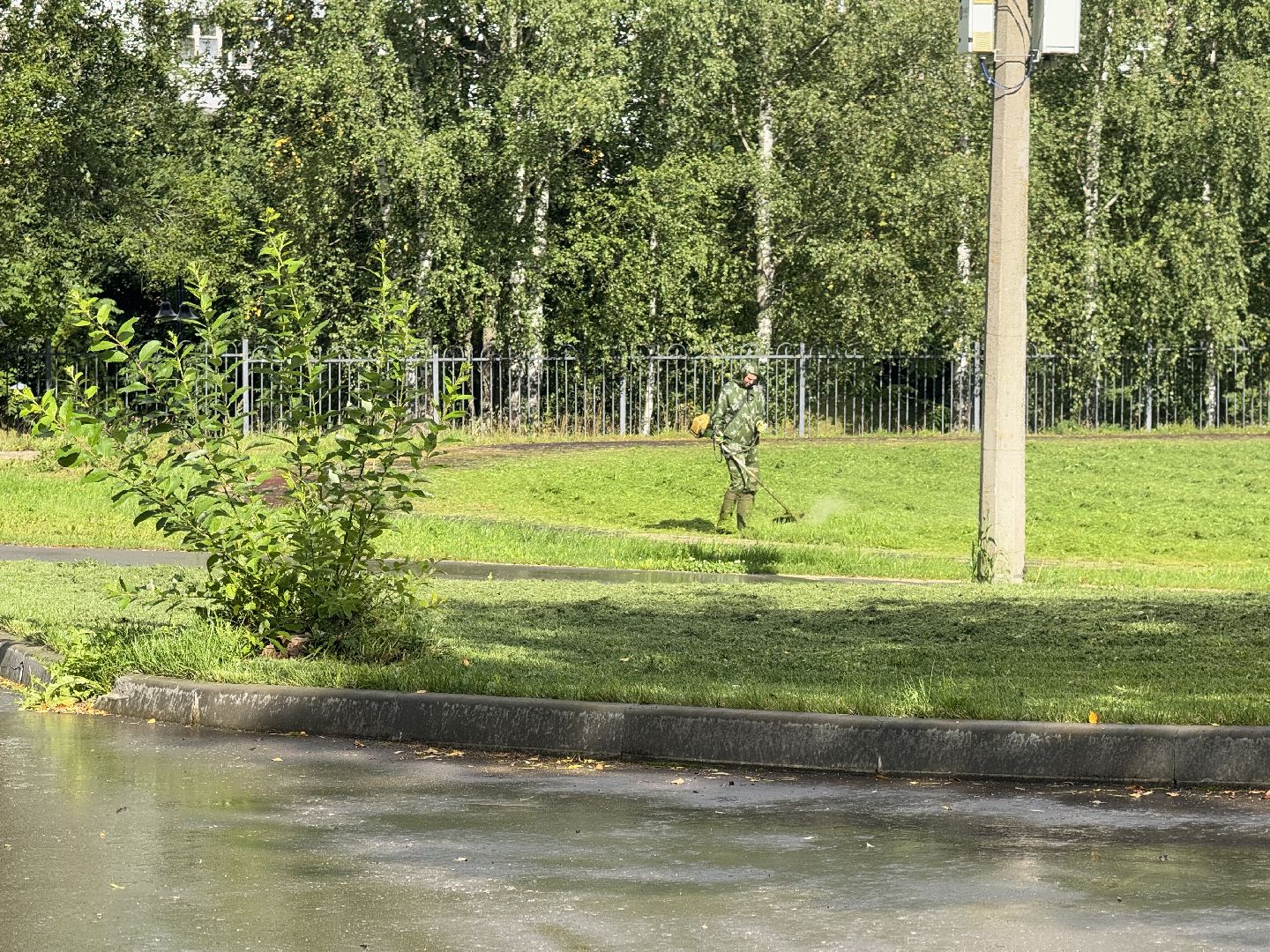 шаховская, шаховская школа, подготовка школы к учебному году, подготовка гимназии к новому учебному году,