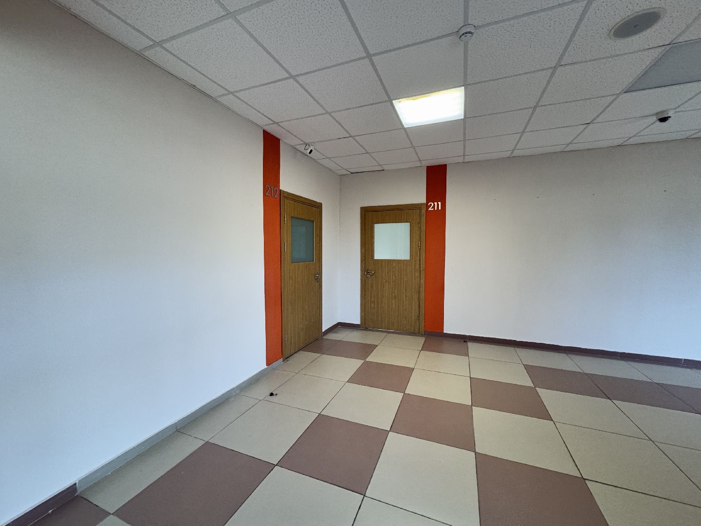 шаховская, шаховская школа, подготовка школы к учебному году, подготовка гимназии к новому учебному году,