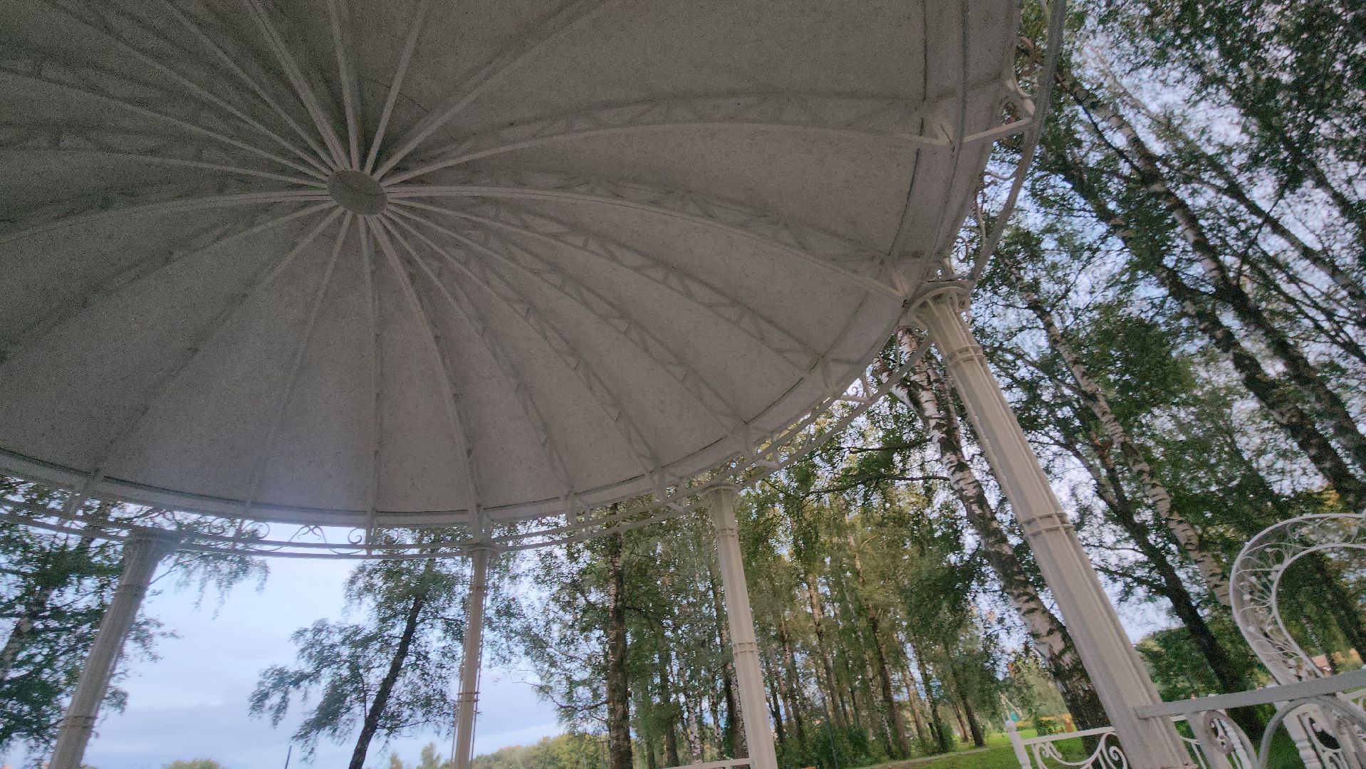 Павловский Посад , Парк, бракосочетание,