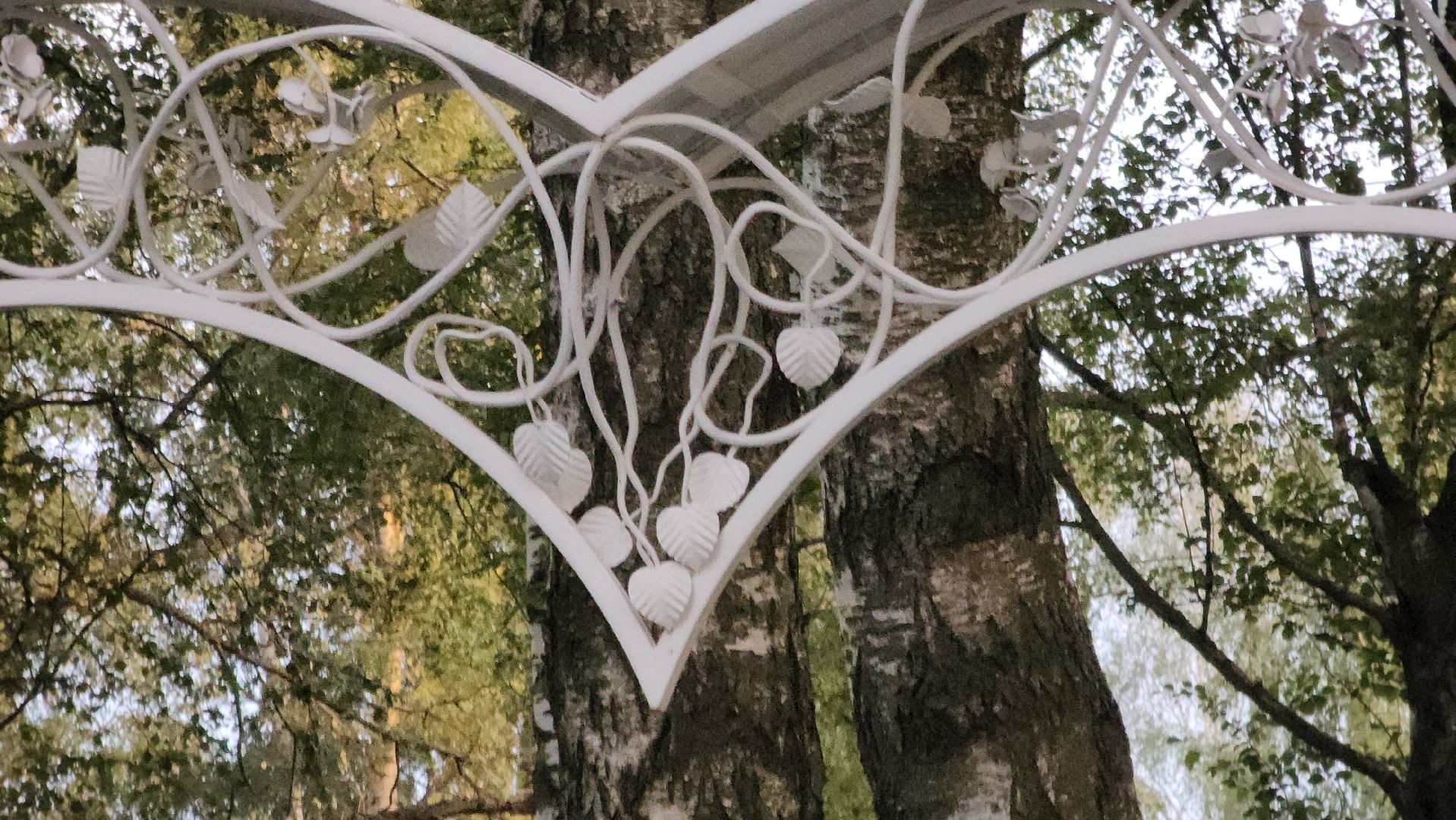 Павловский Посад , Парк, бракосочетание,