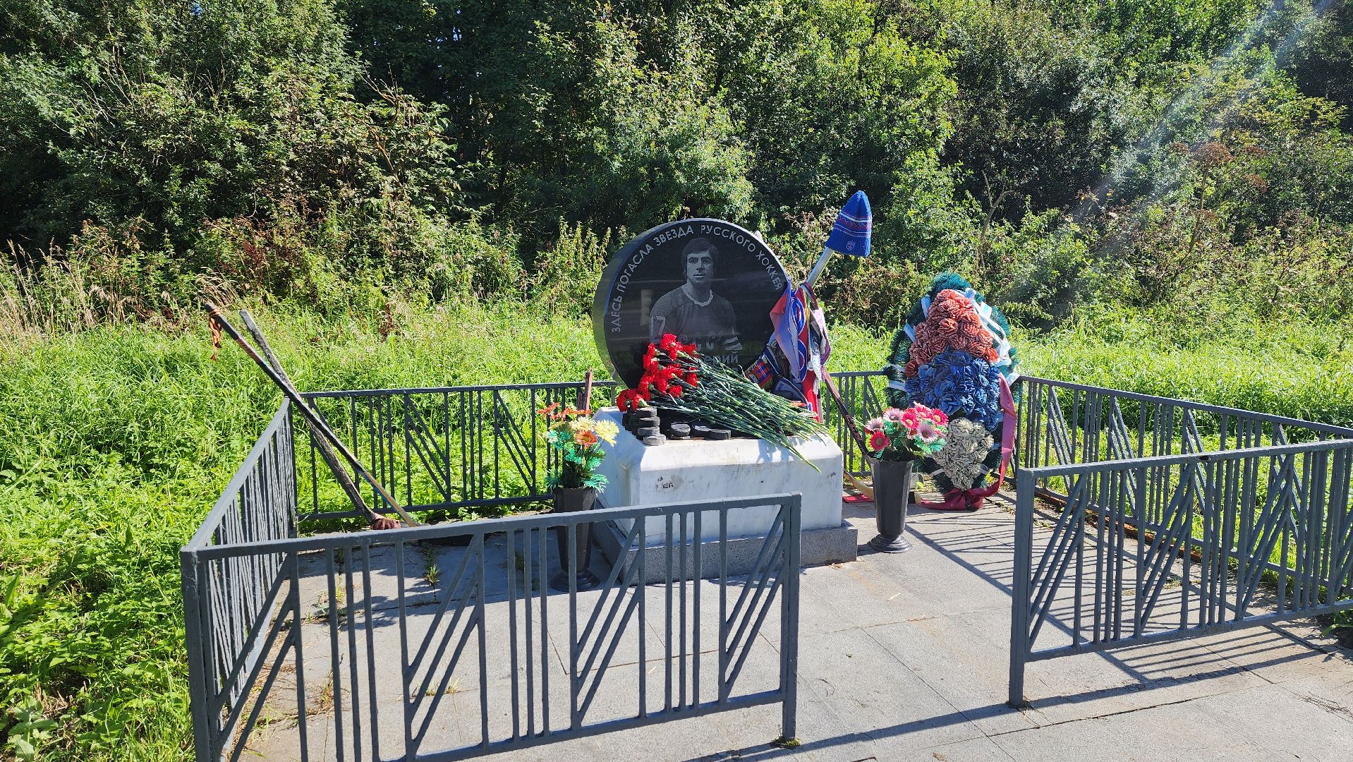 солнечногорск, хоккей, валерий харламов, спорт,