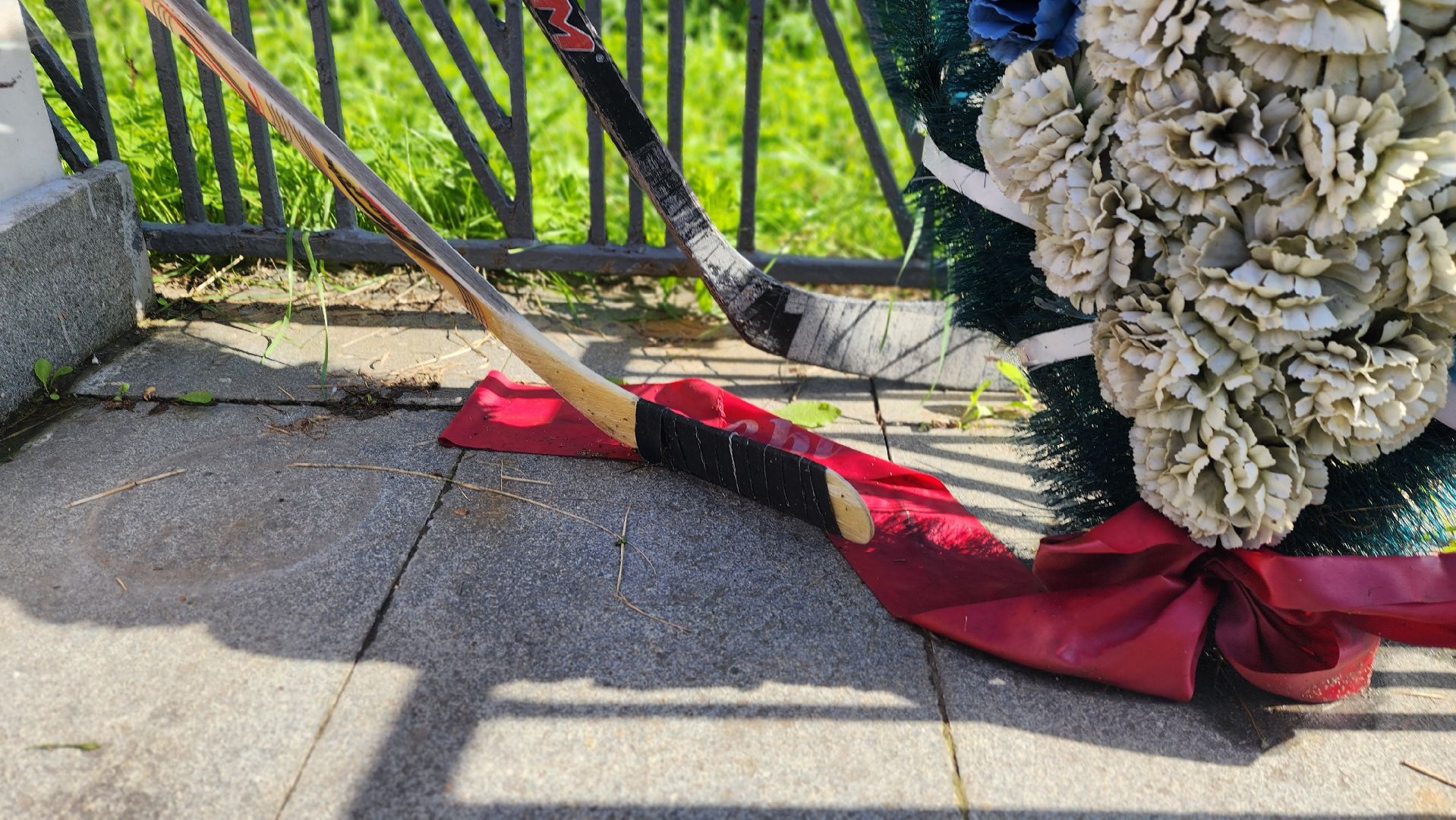 солнечногорск, хоккей, валерий харламов, спорт,