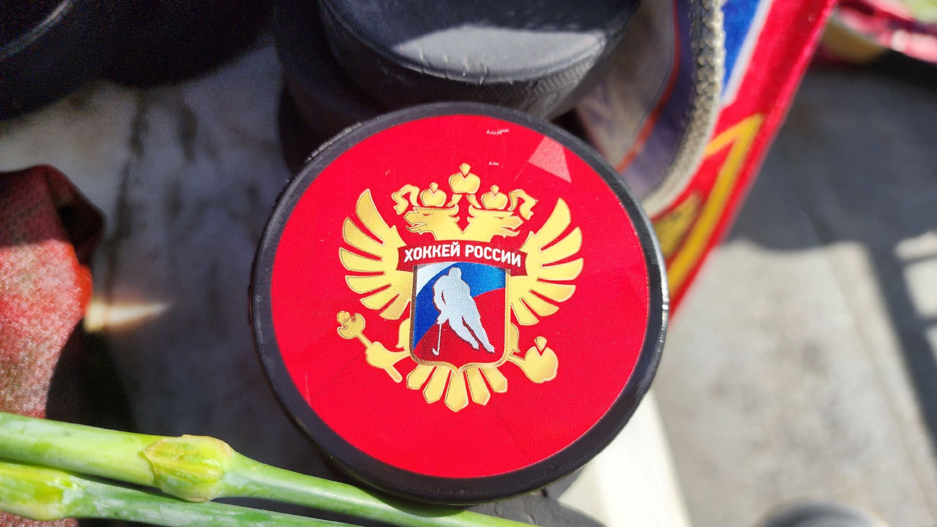 солнечногорск, хоккей, валерий харламов, спорт,