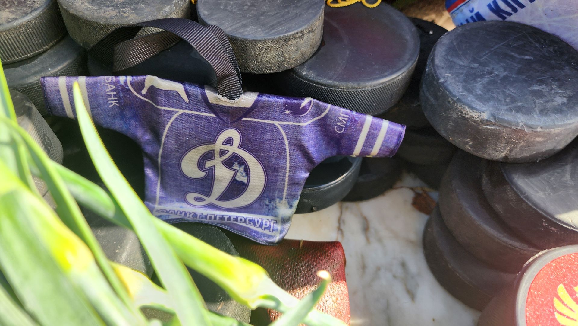 солнечногорск, хоккей, валерий харламов, спорт,