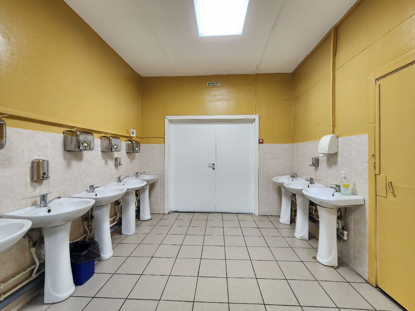 чехов, улица мира 7а, гимназия 7, подготовка к новому учебному году, кабинеты, учебники, книгообеспеченность, меню в столовой, новые блюда, текущий ремонт помещений, уборка, оборудование и мебель,директор гимназии елена рубцова,педагоги и учителя,