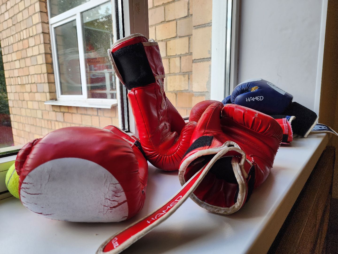 ногинск, спорт, бокс, чемпионат россии, общество,