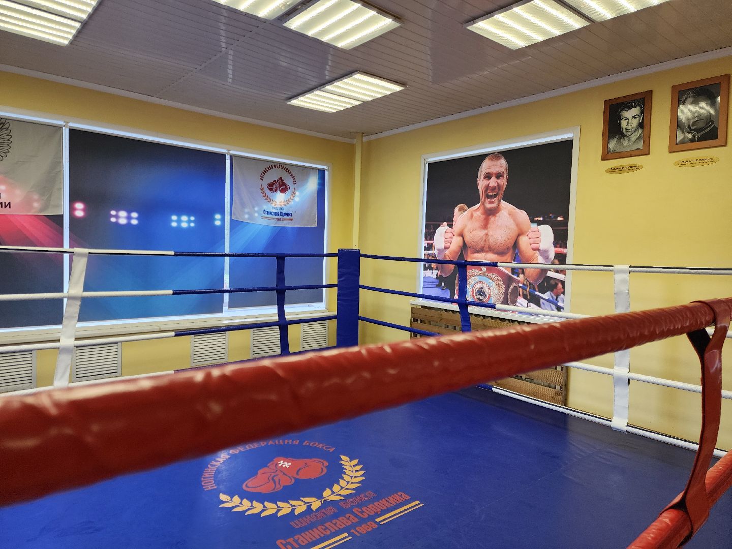 ногинск, спорт, бокс, чемпионат россии, общество,