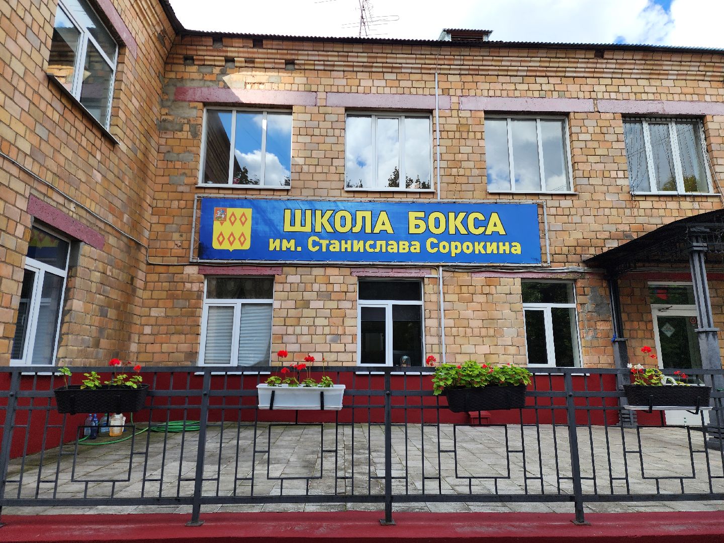 ногинск, спорт, бокс, чемпионат россии, общество,