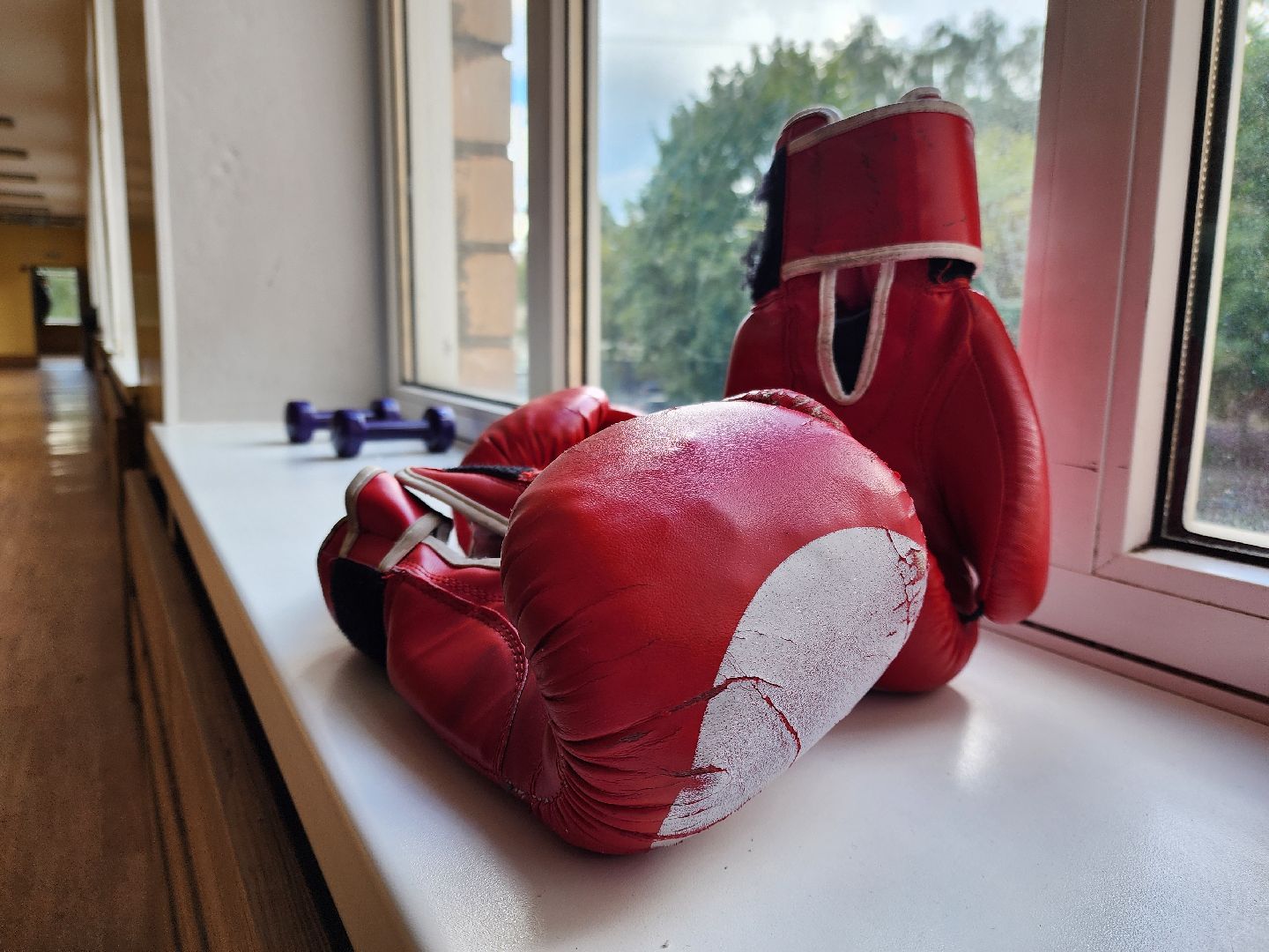 ногинск, спорт, бокс, чемпионат россии, общество,