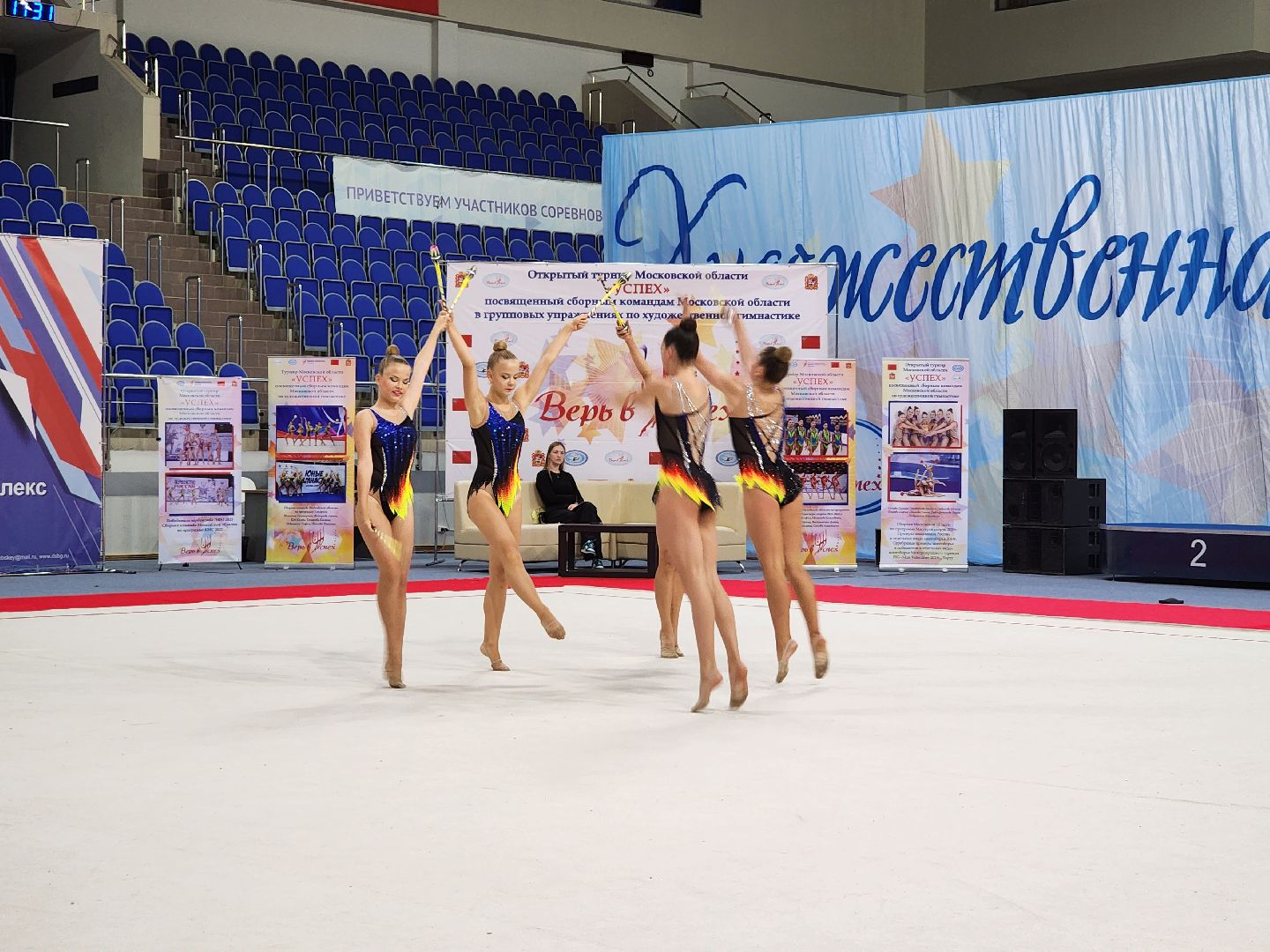 раменское, спорт,  турнир московской области по художественной гимнастике , успех,