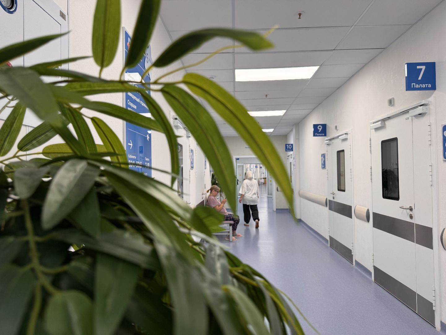 детский клинический центр им рошаля, Центру Рошаля 1 год, Минздрав МО,