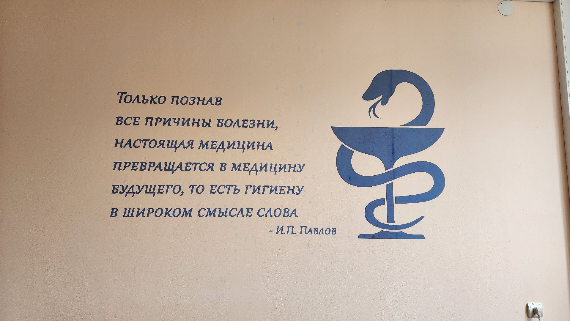 луховицы, здравоохранение, вакцинация от гриппа,