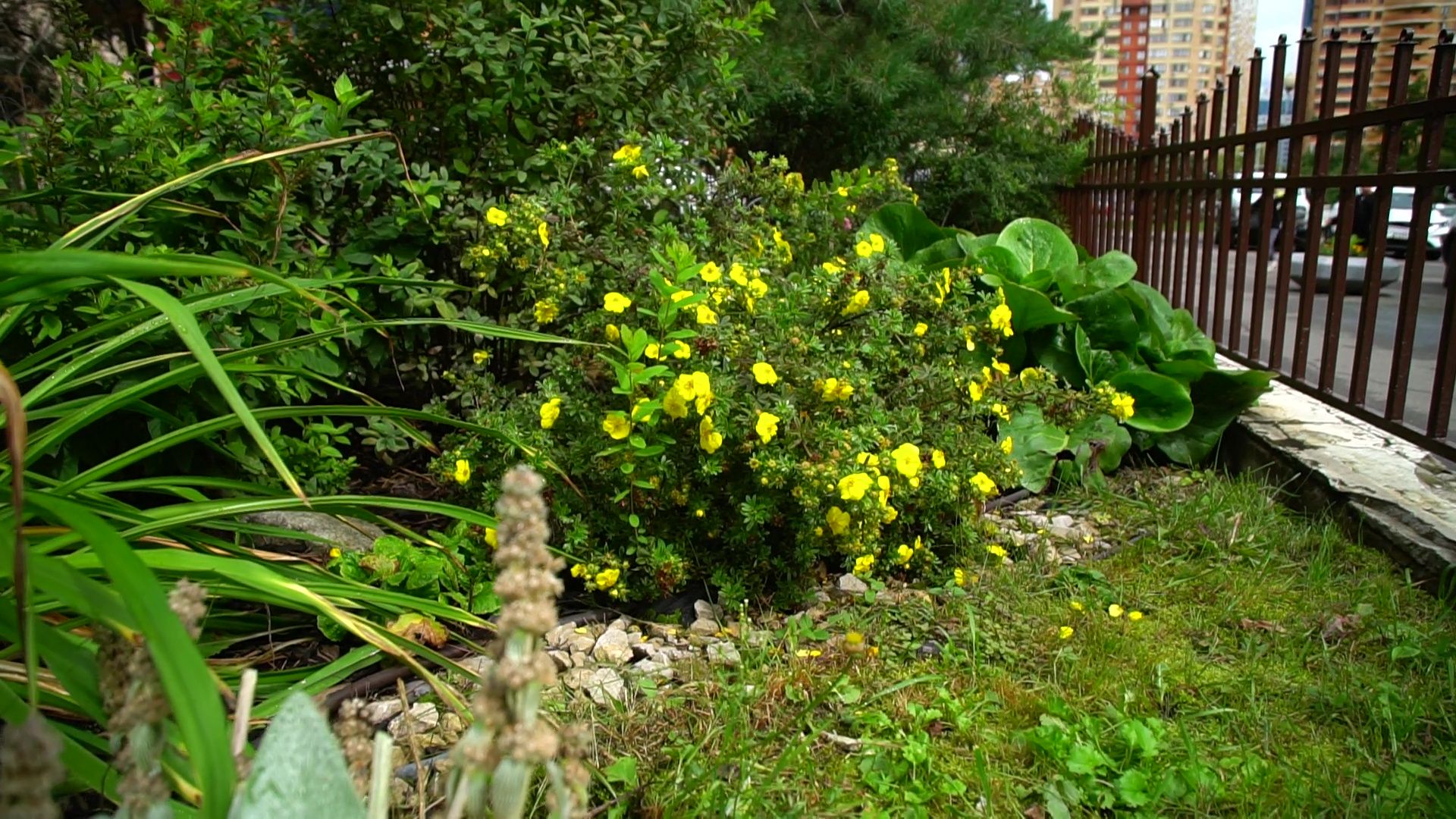 Реутов, благоустройство, мой комфортный дом, лучший двор, конкурс главы,