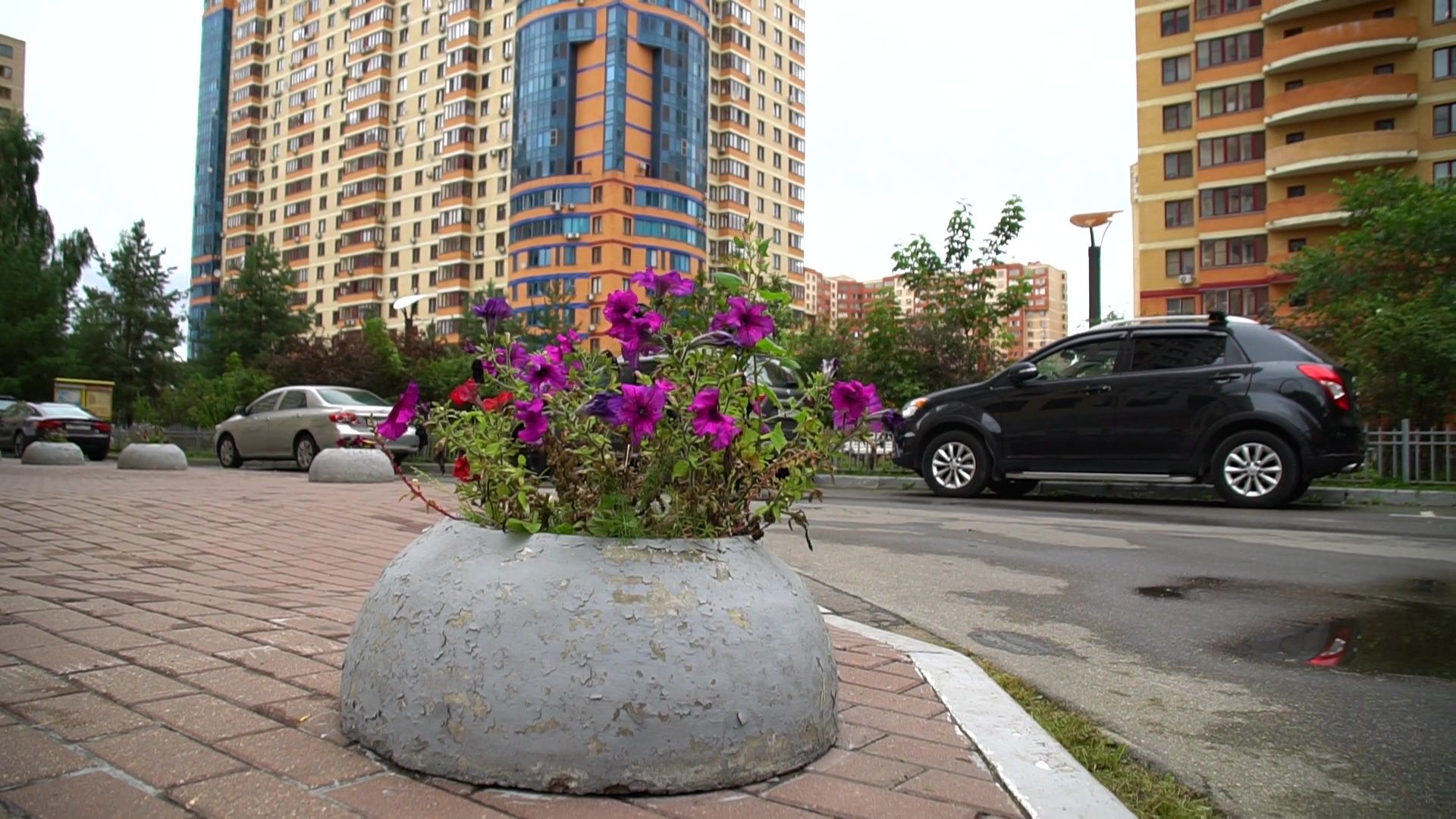 Реутов, благоустройство, мой комфортный дом, лучший двор, конкурс главы,