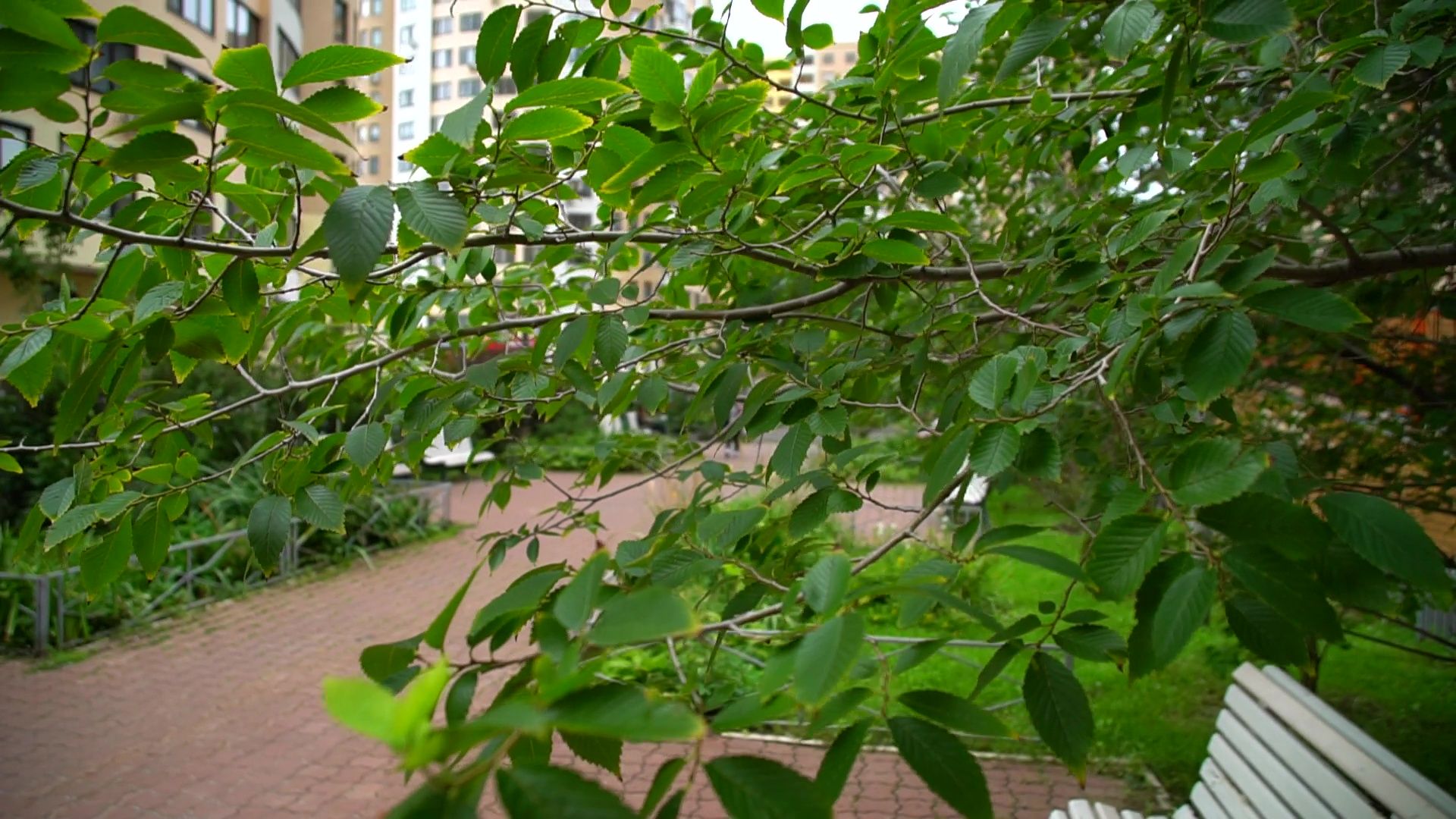 Реутов, благоустройство, мой комфортный дом, лучший двор, конкурс главы,