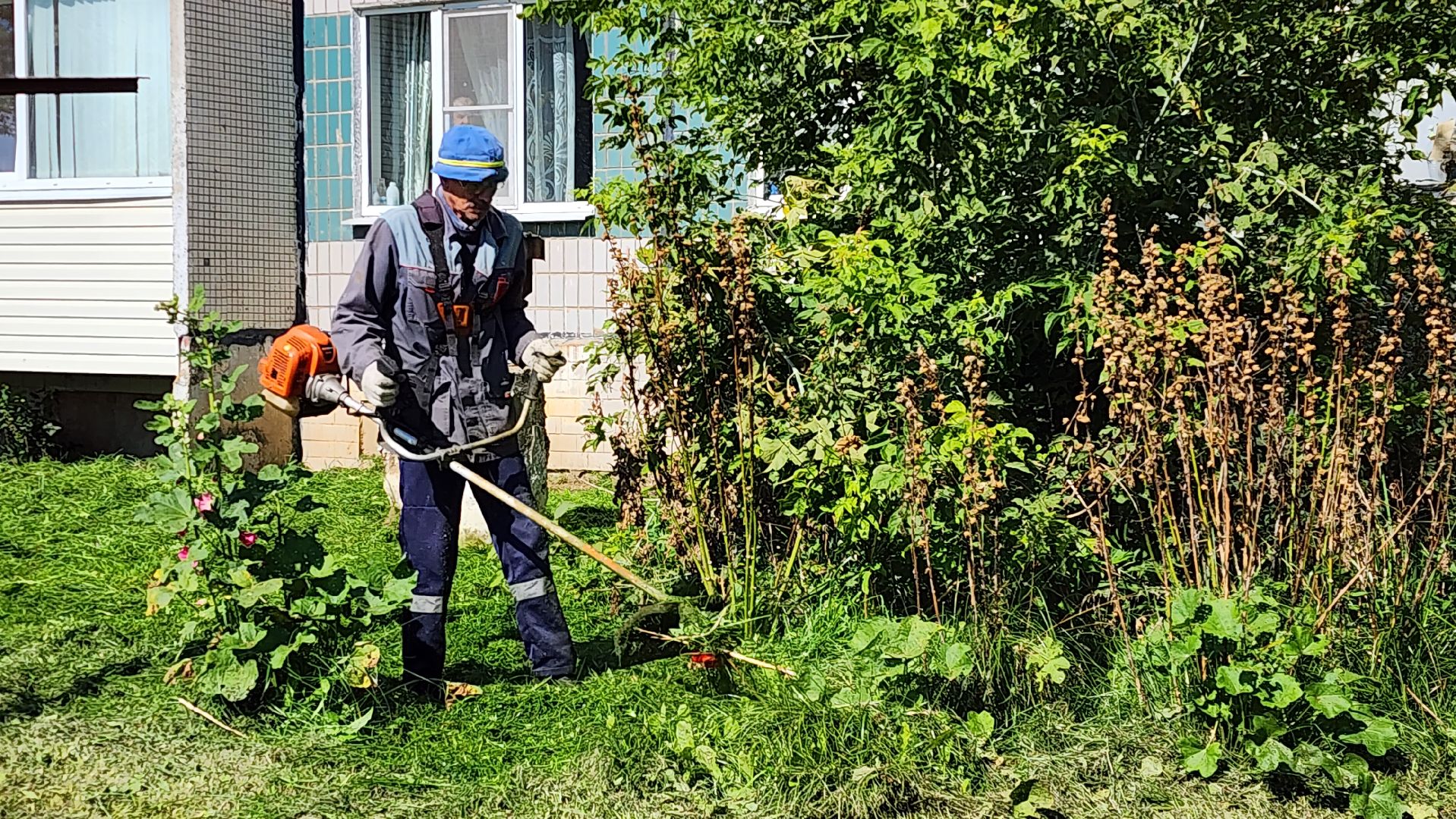 истра, покос травы,управляющая компания,