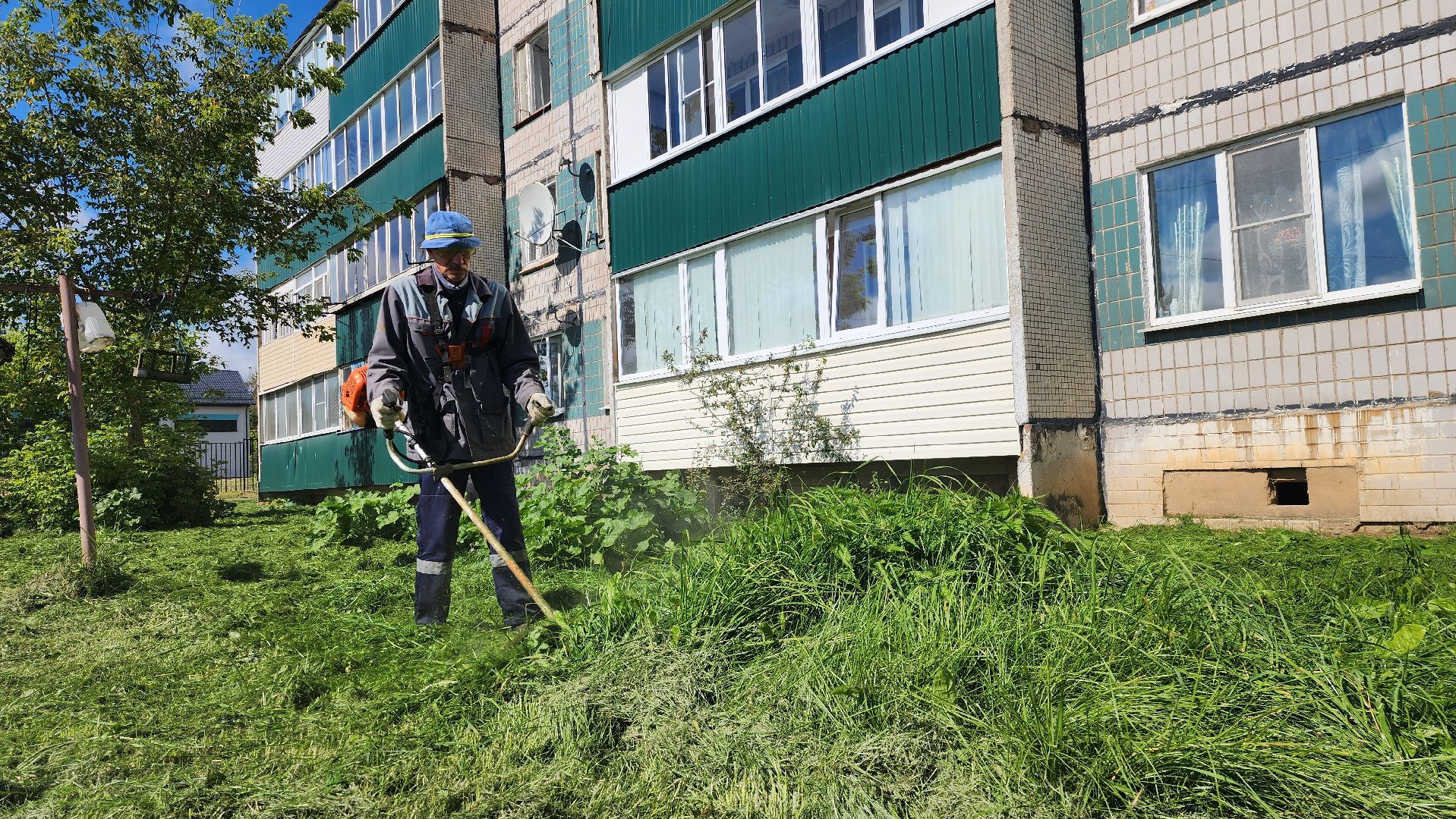 истра, покос травы,управляющая компания,