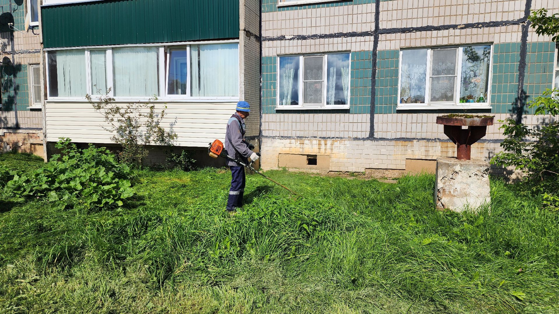 истра, покос травы,управляющая компания,