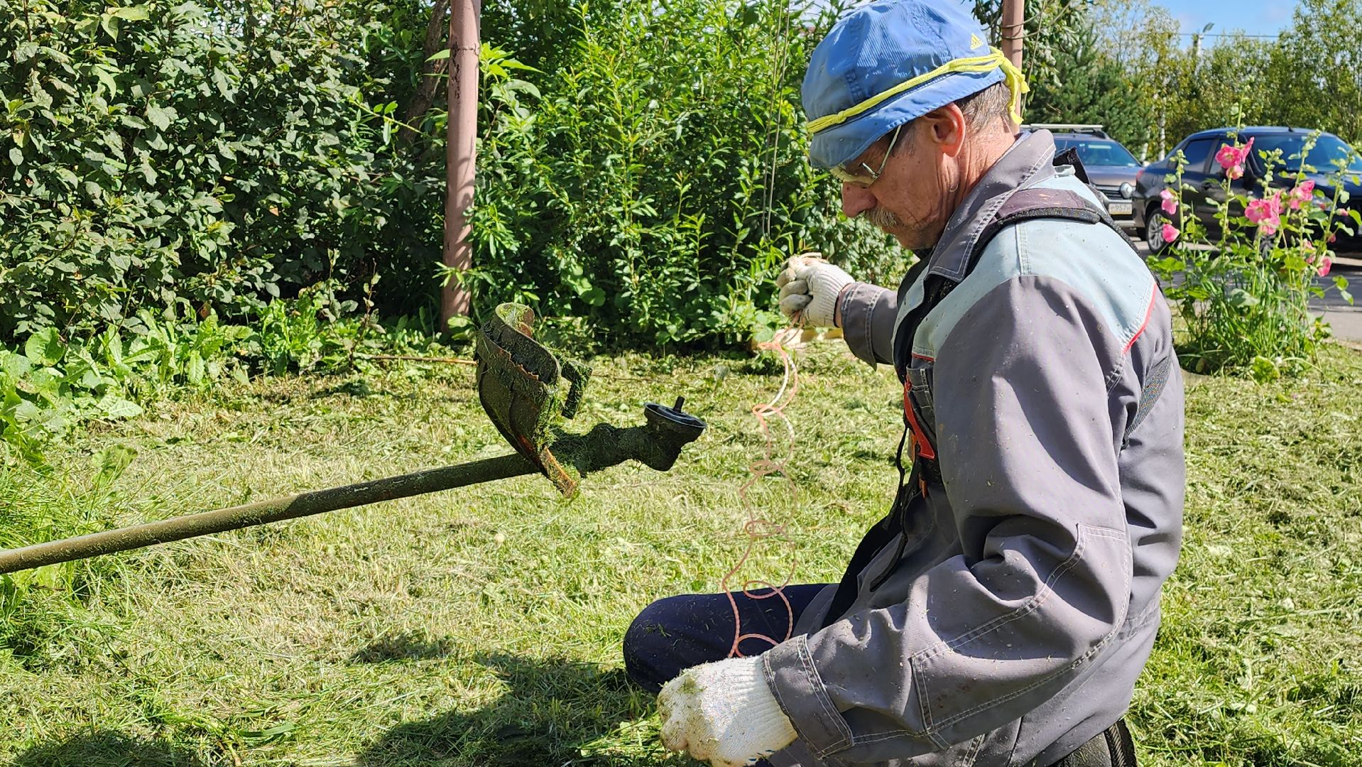 истра, покос травы,управляющая компания,