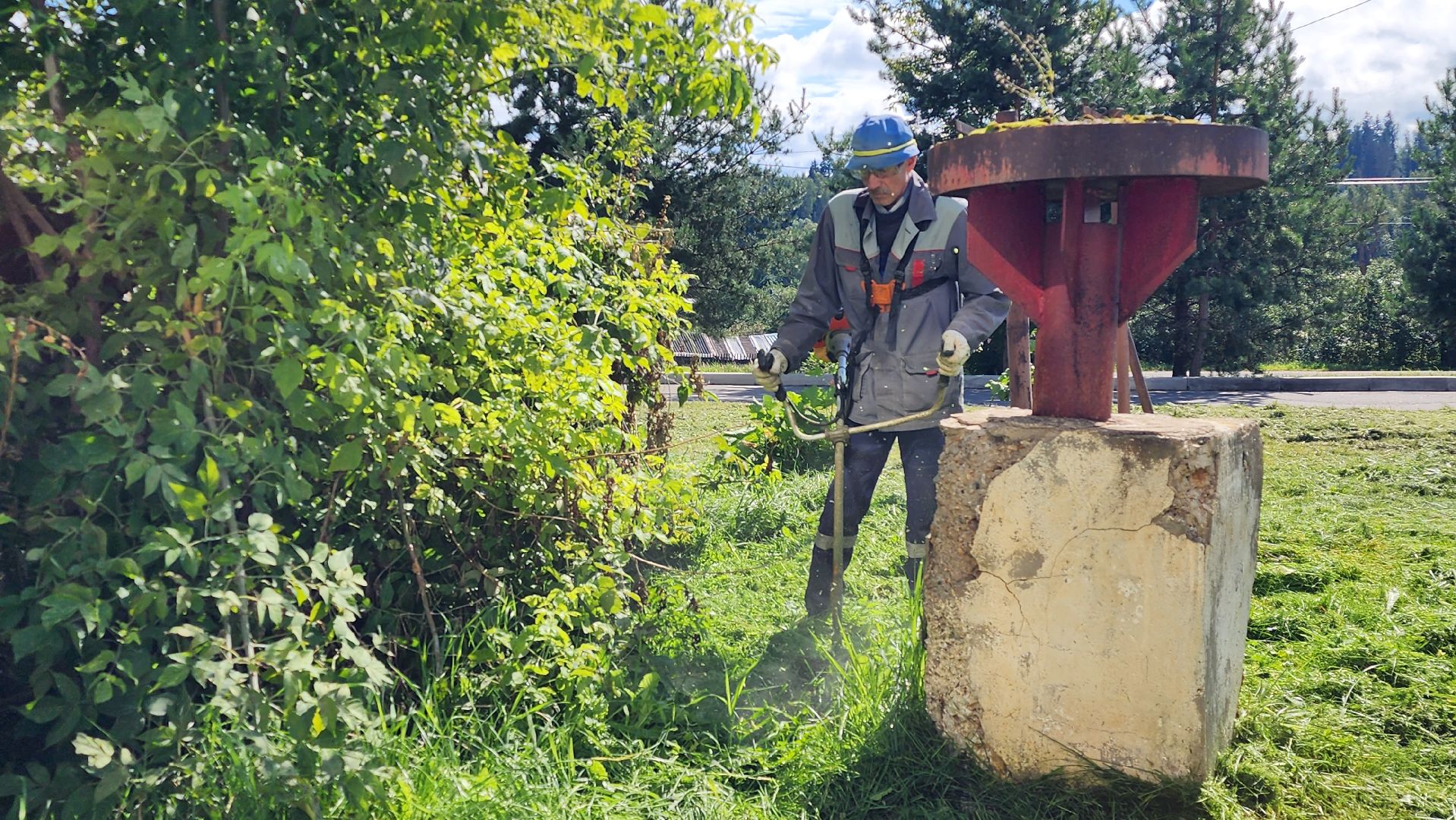истра, покос травы,управляющая компания,