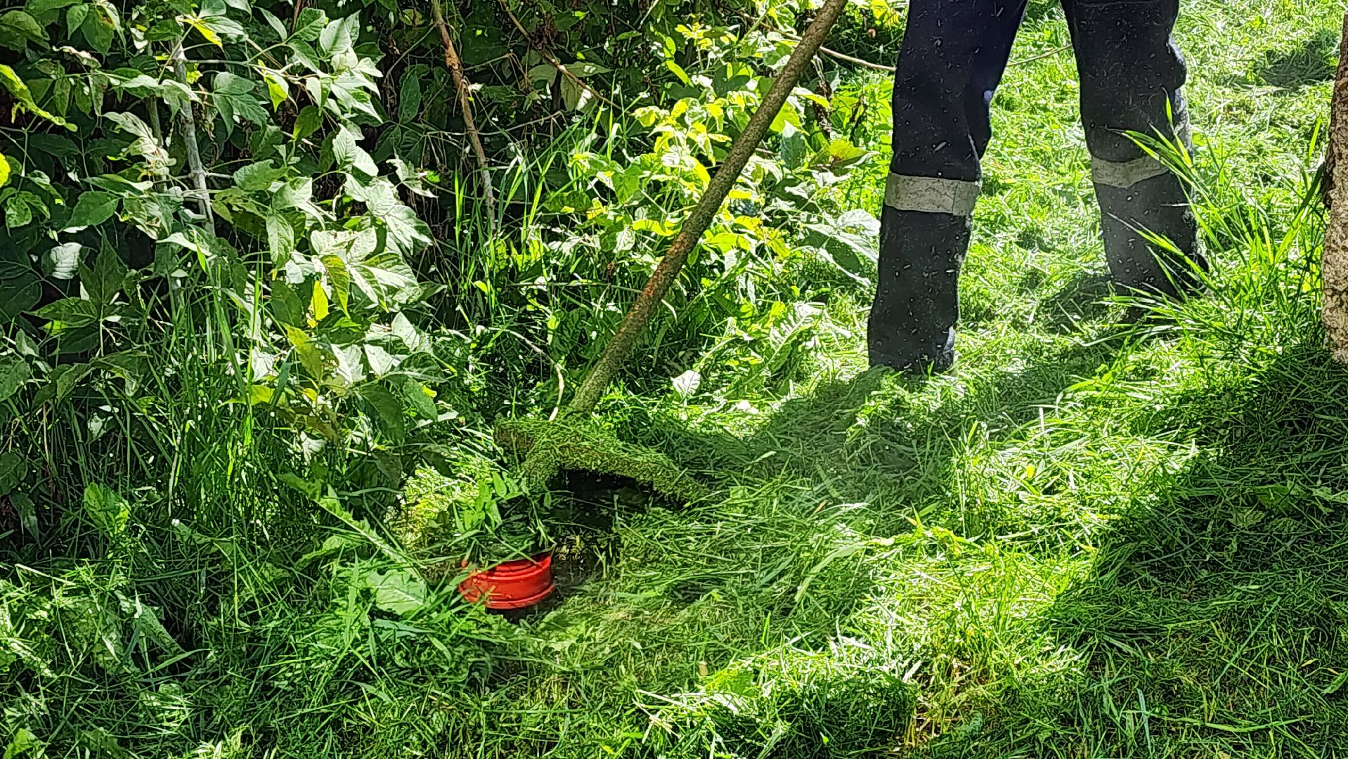 истра, покос травы,управляющая компания,