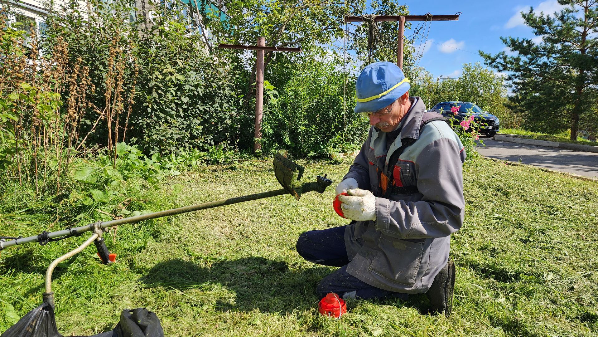 истра, покос травы,управляющая компания,