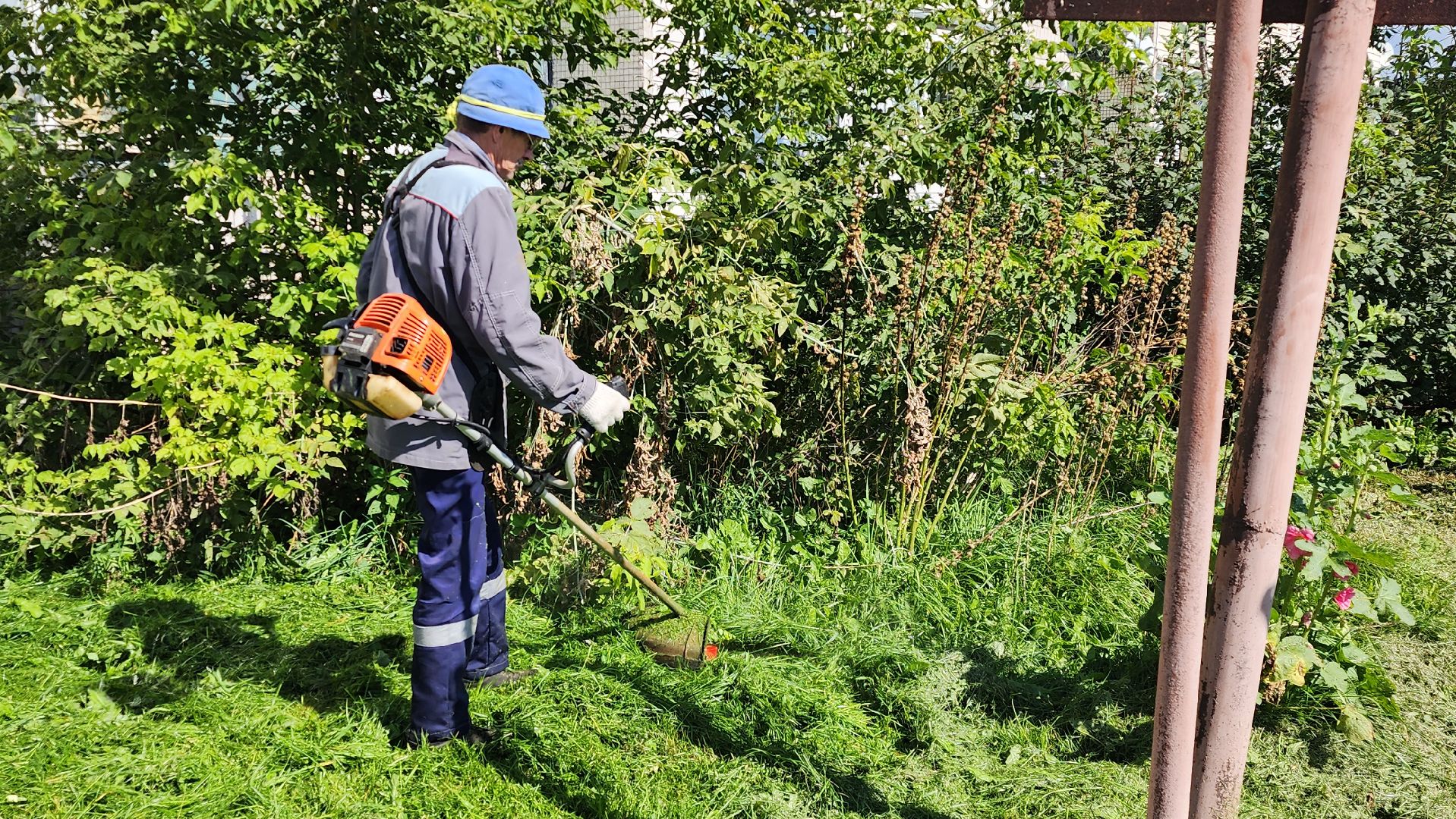 истра, покос травы,управляющая компания,