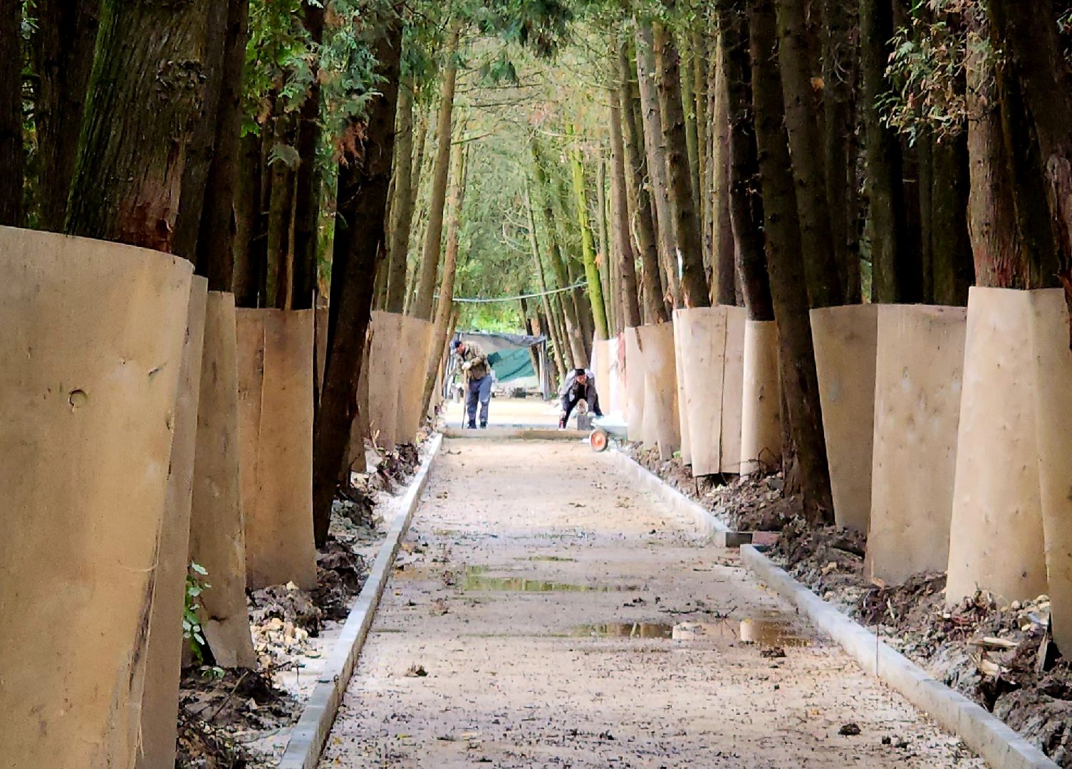 серпухов, подмосковье, реконструкция парка, питомник,