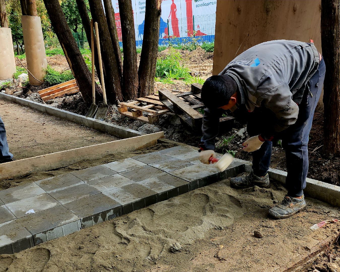 серпухов, подмосковье, реконструкция парка, питомник,