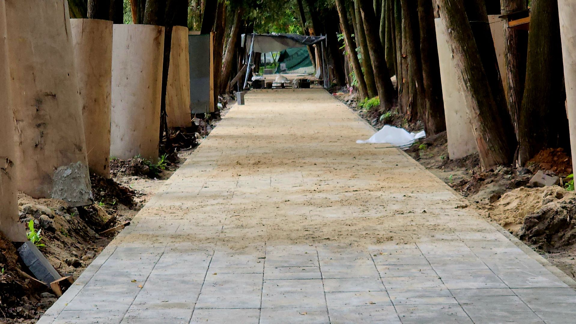 серпухов, подмосковье, реконструкция парка, питомник,